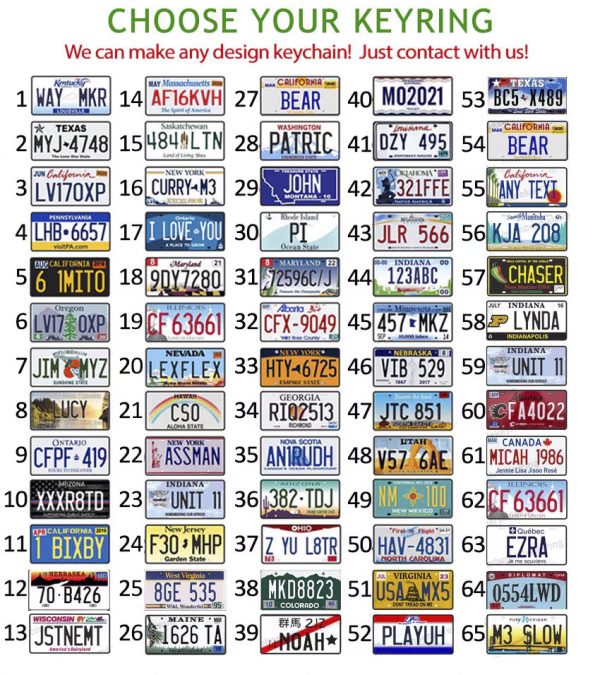 Ontario License Plate Keychain - Image 4