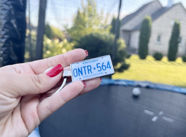 Ontario License Plate Keychain - Image 6