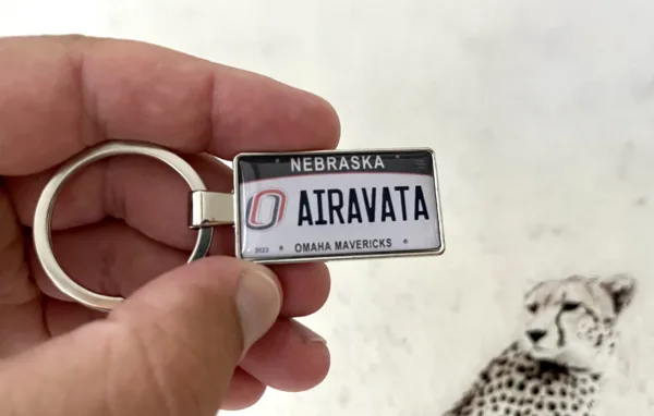 Nebraska License Plate Keychain - Image 5